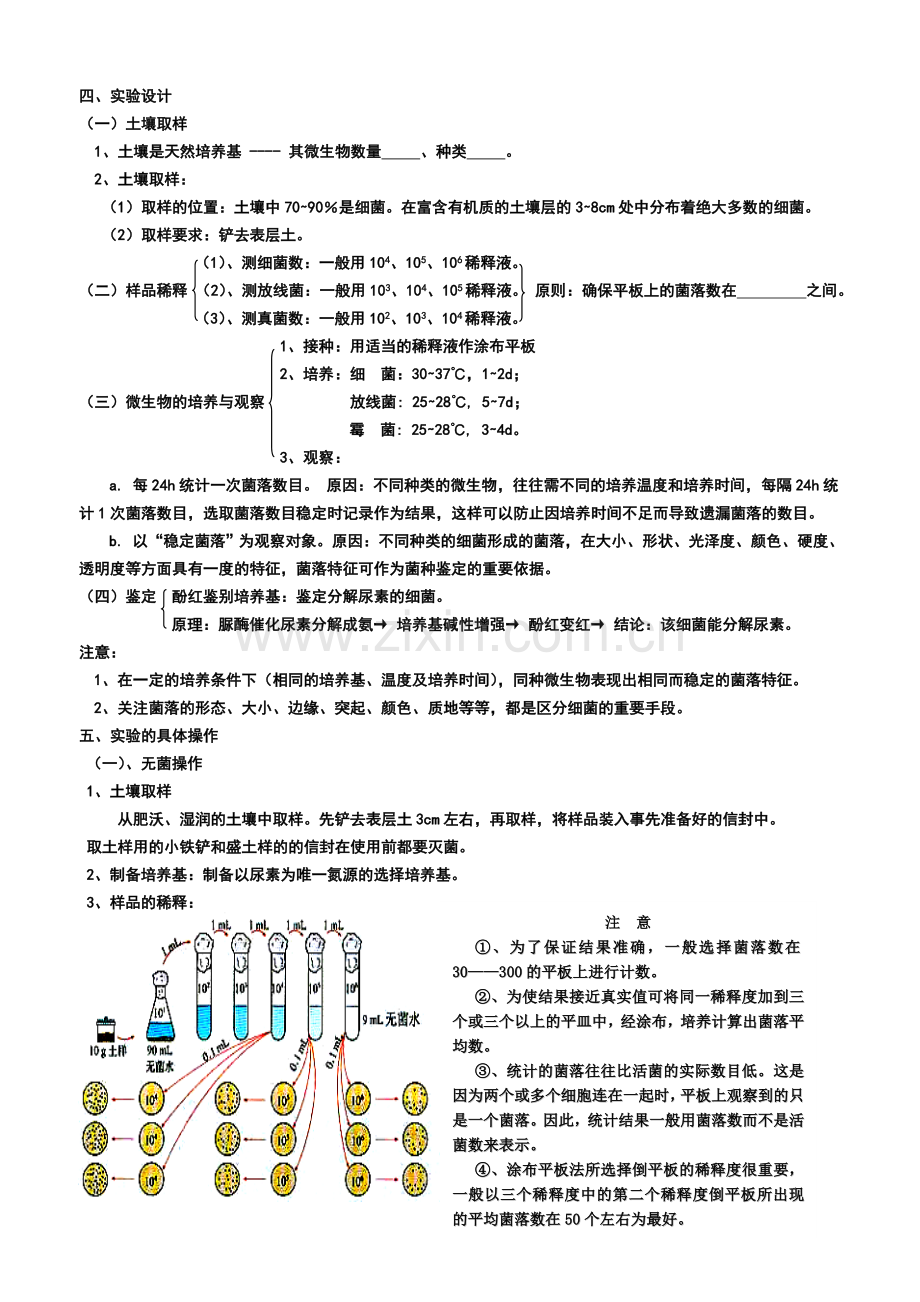 土壤中分解尿素的细菌的分离与计数导学案.doc_第2页