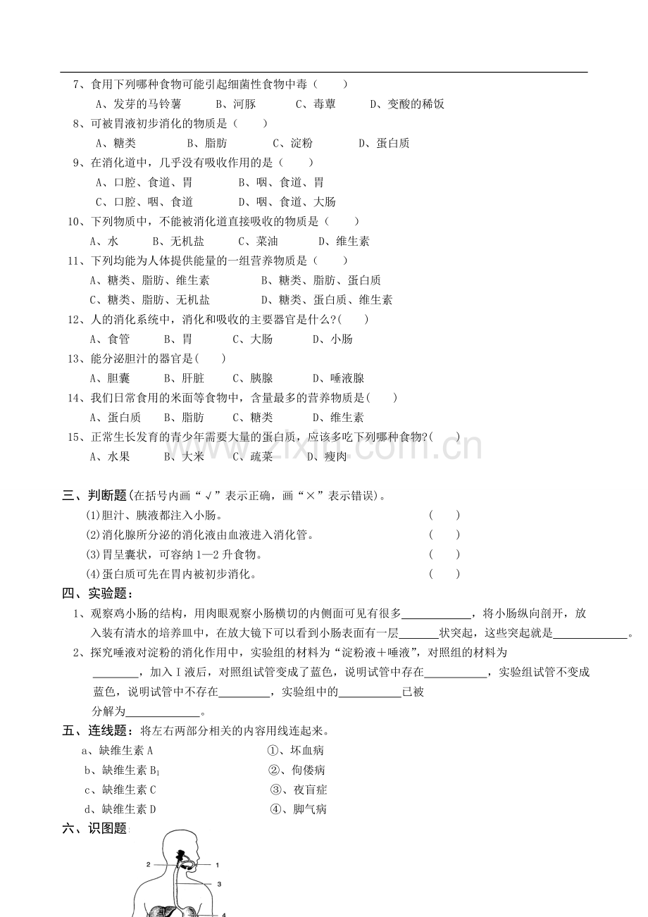 北师大版本七年级下北师大生物全套试题.doc_第3页