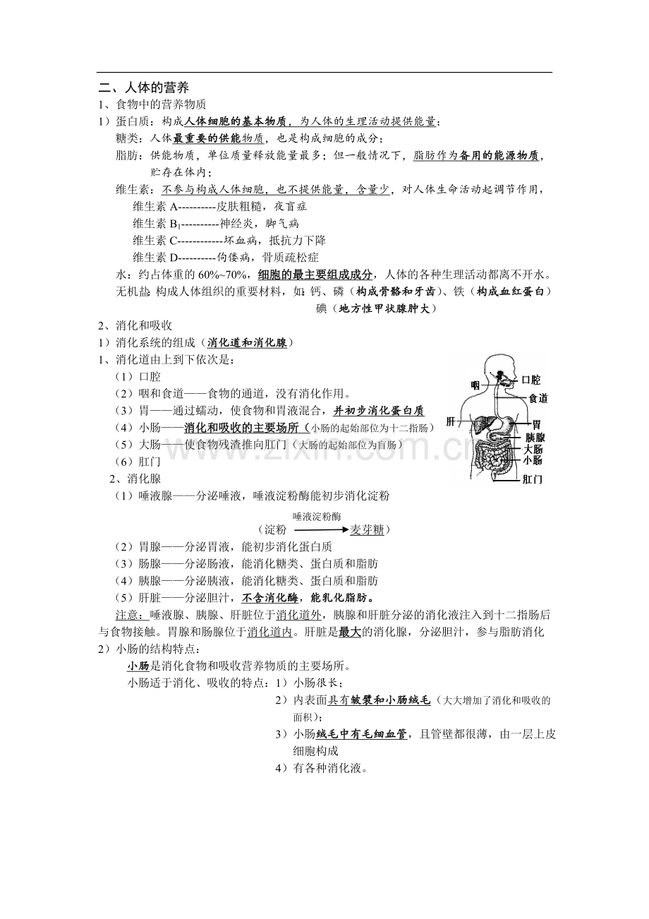 七年级生物下册复习总结.doc_第2页