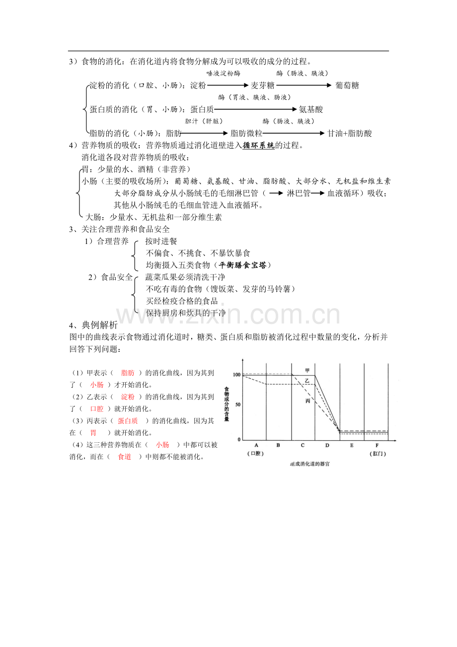 七年级生物下册复习总结.doc_第3页