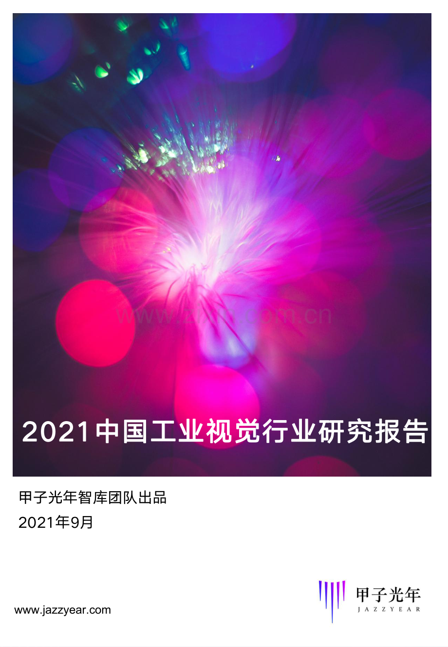 2021工业视觉行业研究报告.pdf_第1页