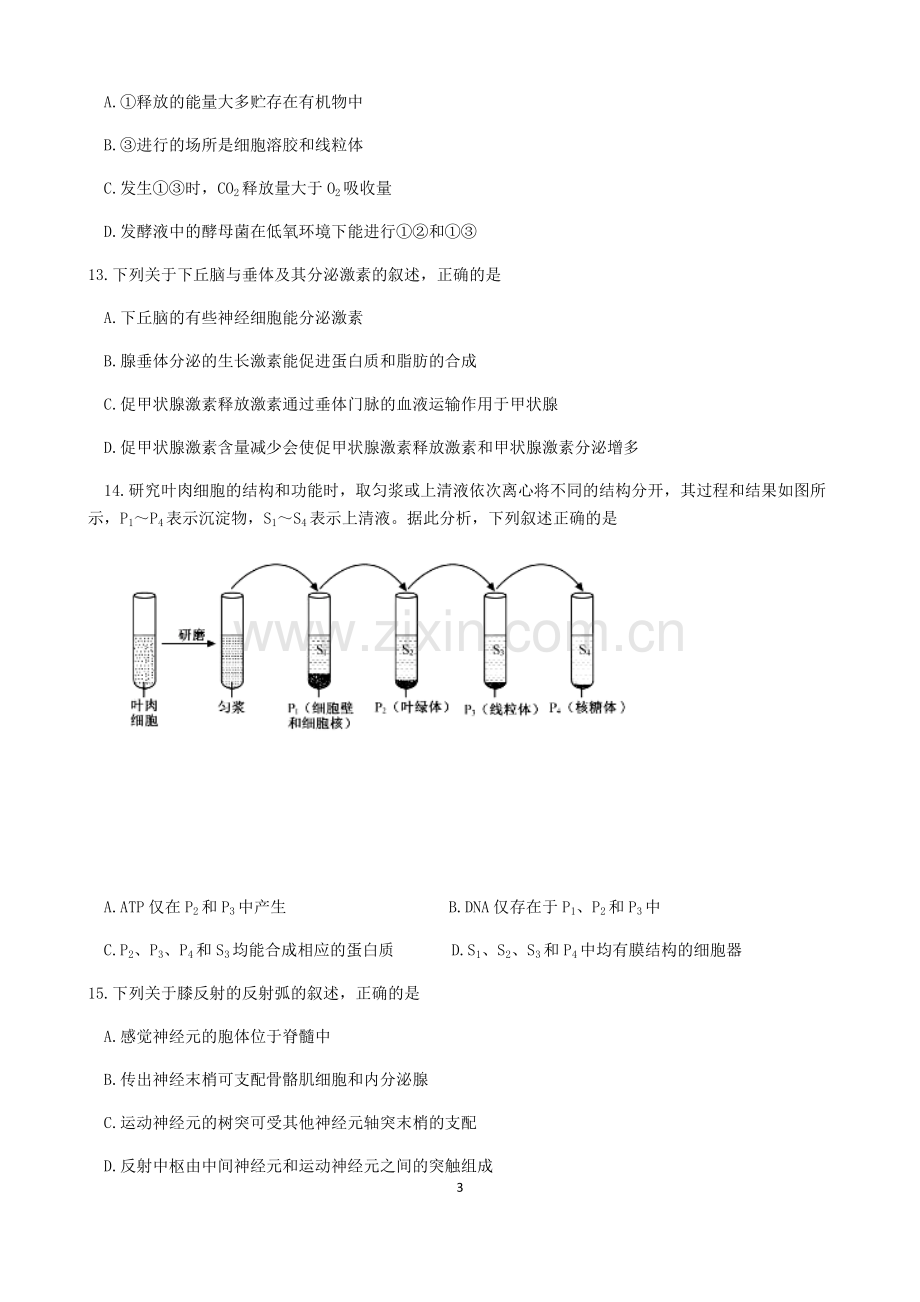 2020年1月浙江省选考科目生物试题及参考答案.pdf_第3页