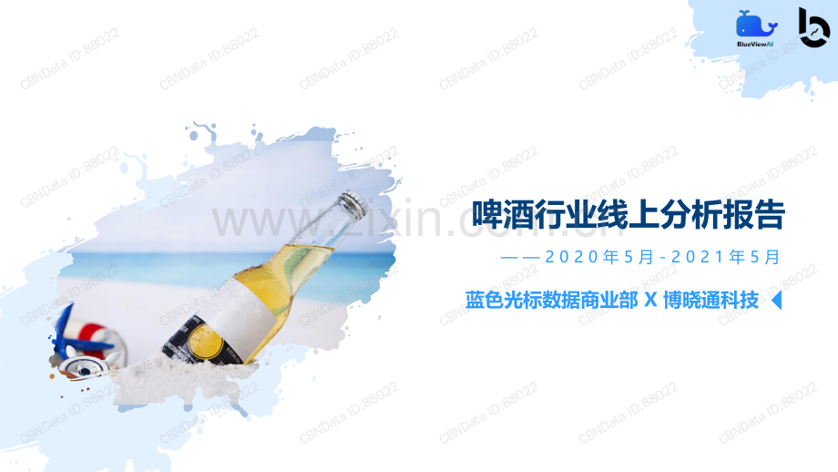 啤酒行业线上分析报告.pdf_第1页