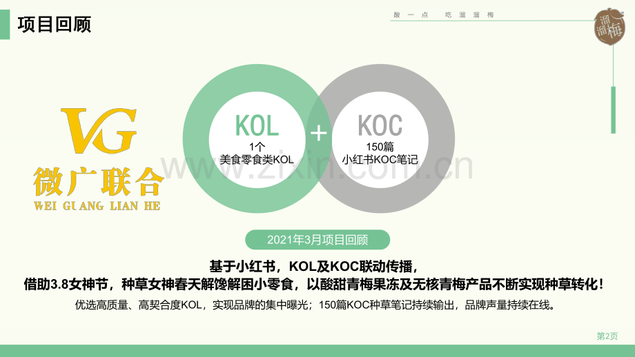 溜溜梅小红书KOL+KOC投放结.pdf_第2页