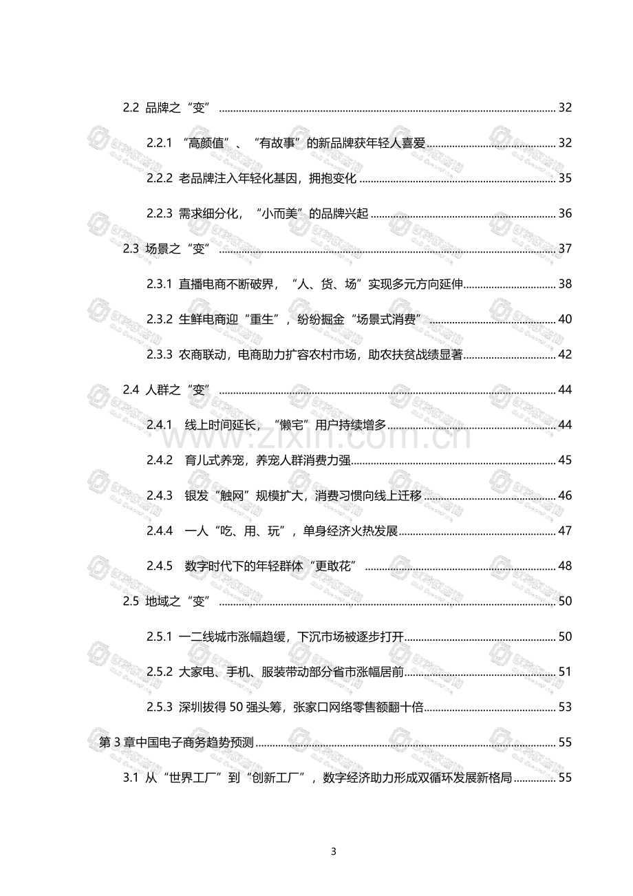 2020中国网络零售发展研究报告.pdf_第3页