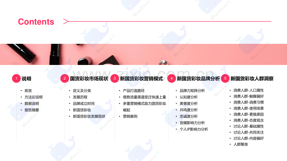 新国货彩妆洞察-蓝色光标.pdf_第2页
