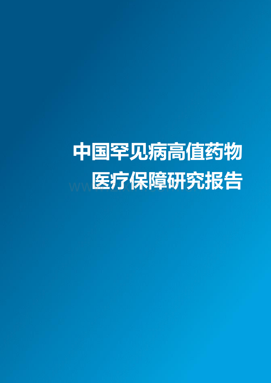 2020中国罕见病高值药物医疗保障研究报告.pdf_第2页