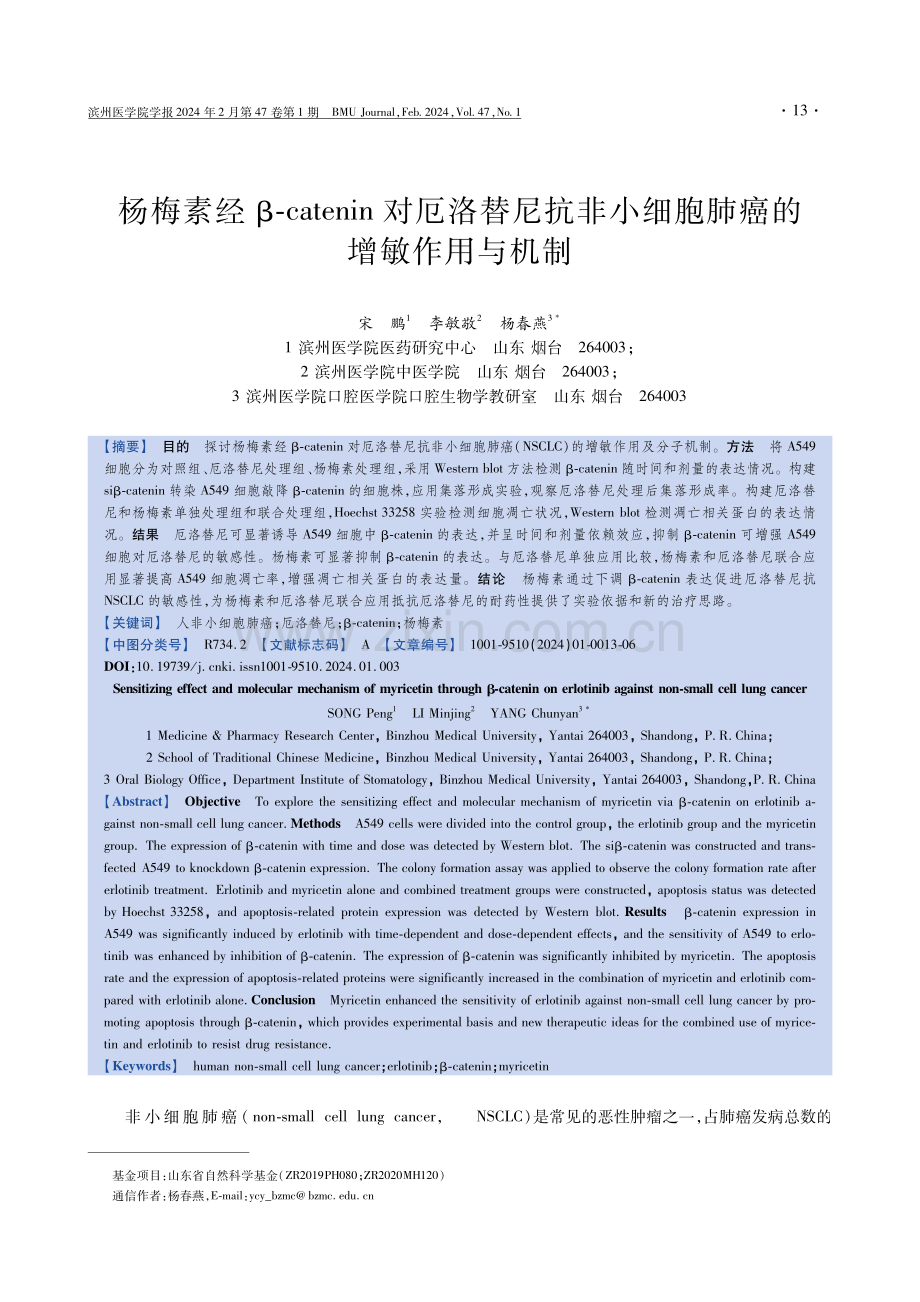 杨梅素经β-catenin对厄洛替尼抗非小细胞肺癌的增敏作用与机制.pdf_第1页