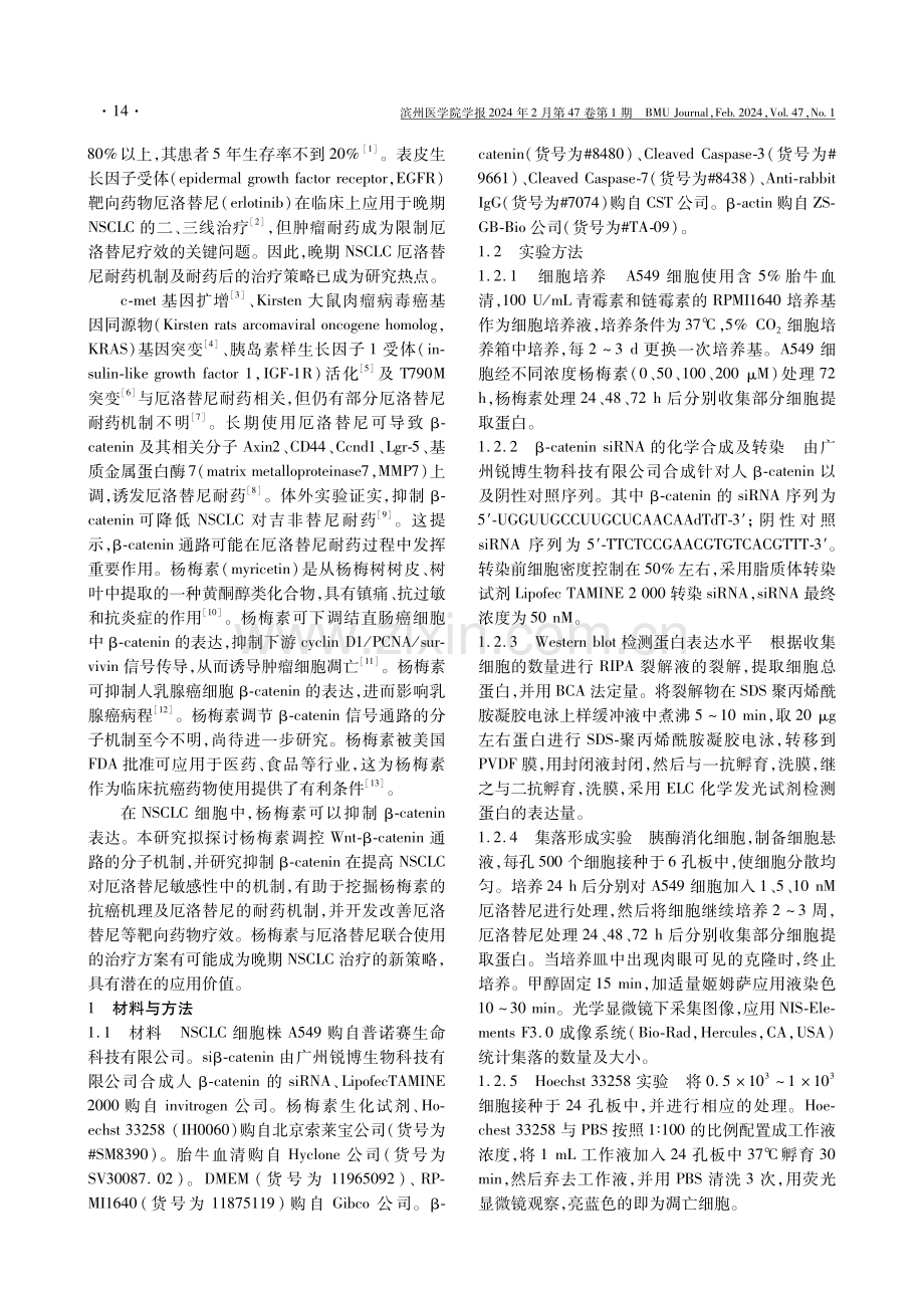 杨梅素经β-catenin对厄洛替尼抗非小细胞肺癌的增敏作用与机制.pdf_第2页