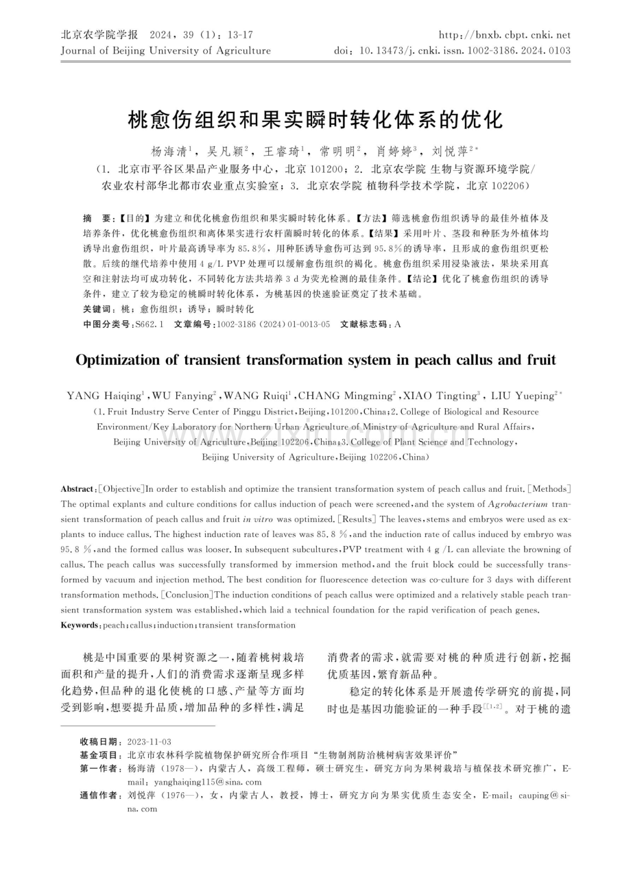 桃愈伤组织和果实瞬时转化体系的优化.pdf_第1页