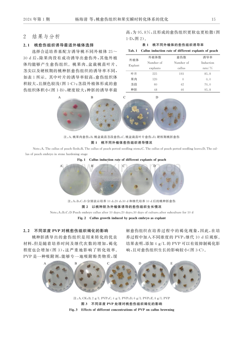 桃愈伤组织和果实瞬时转化体系的优化.pdf_第3页