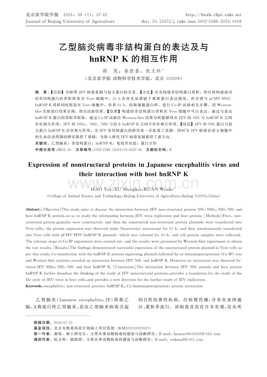 乙型脑炎病毒非结构蛋白的表达及与hnRNP K的相互作用.pdf_第1页