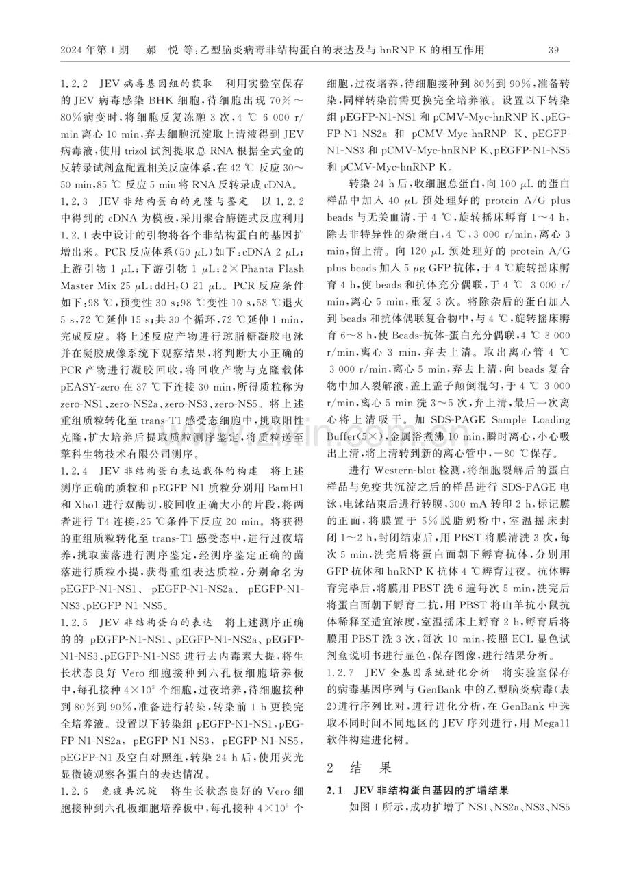 乙型脑炎病毒非结构蛋白的表达及与hnRNP K的相互作用.pdf_第3页