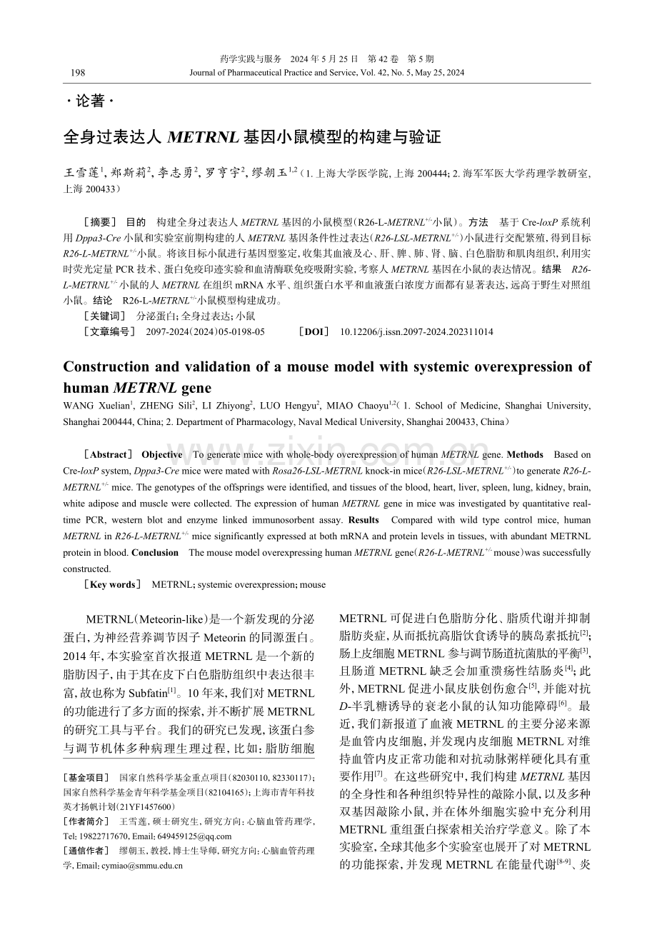 全身过表达人METRNL基因小鼠模型的构建与验证 (1).pdf_第1页