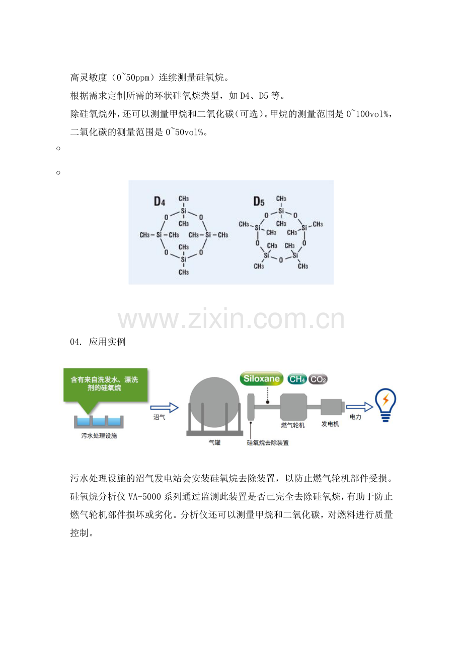 沼气发电过程中的硅氧烷的监测.pdf_第2页