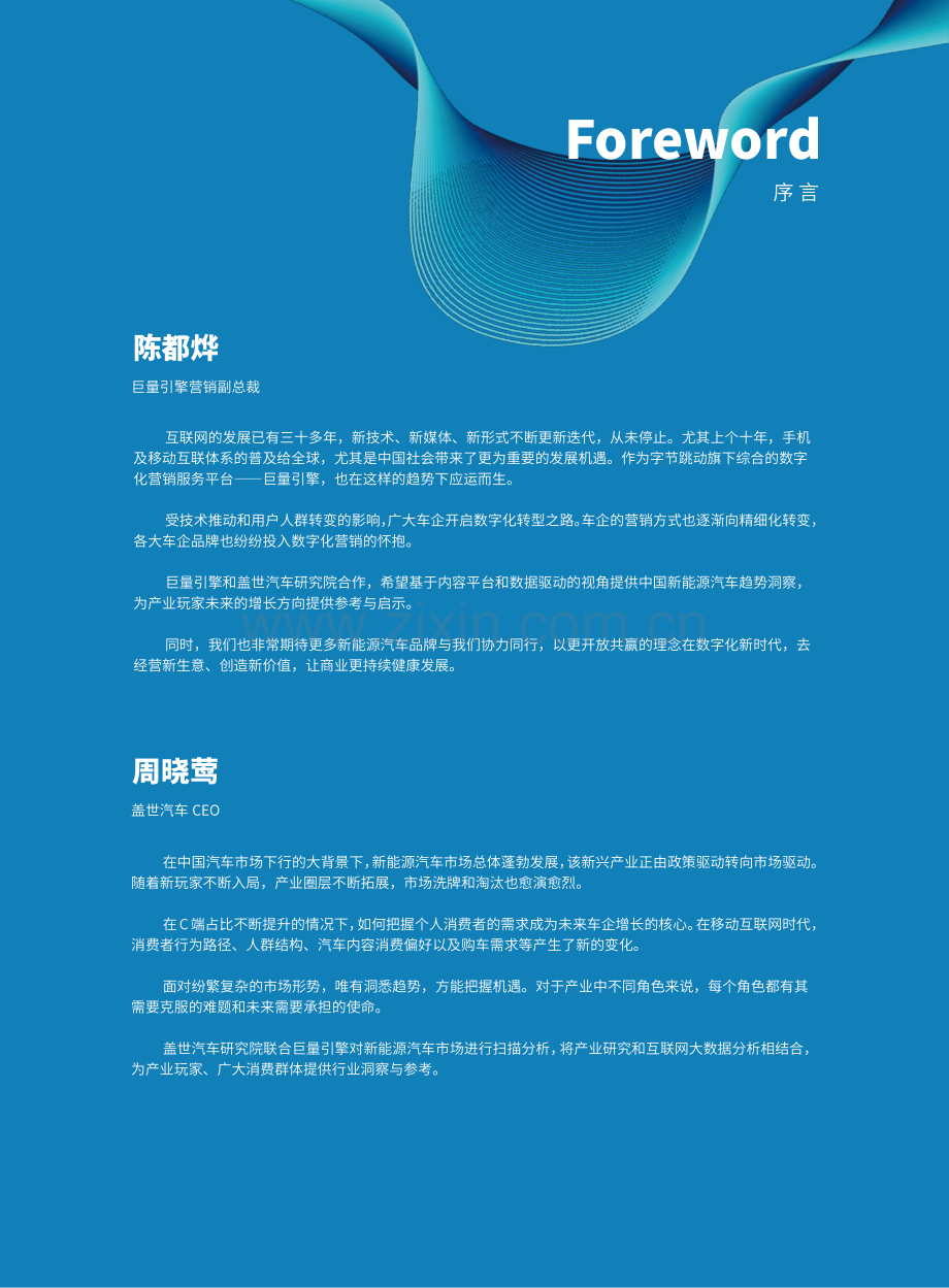 2021中国新能源汽车行业市场洞察报告：破晓立新百阿争流.pdf_第3页