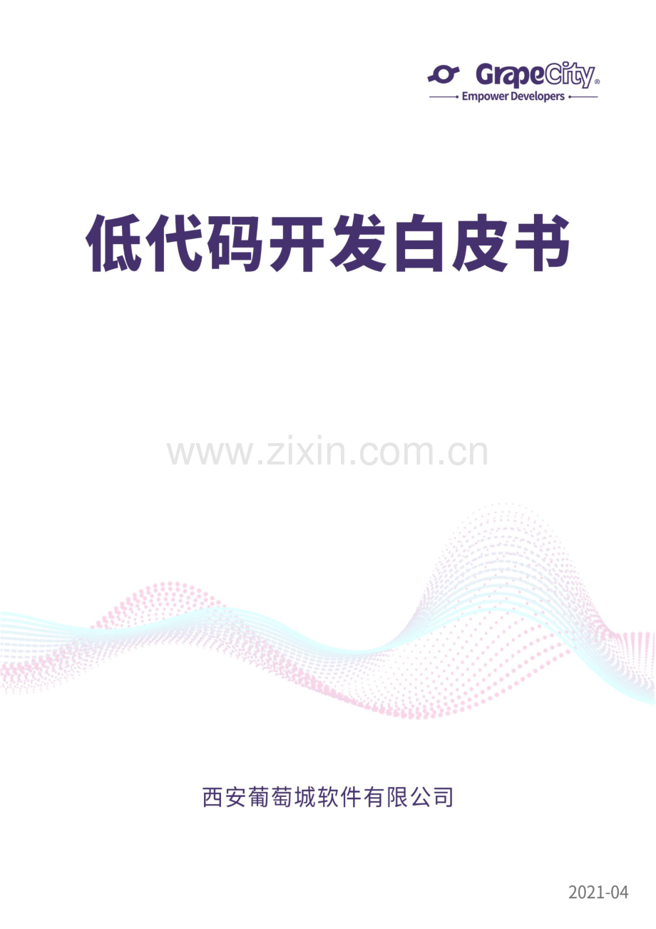 葡萄城：低代码开发白皮书.pdf_第1页