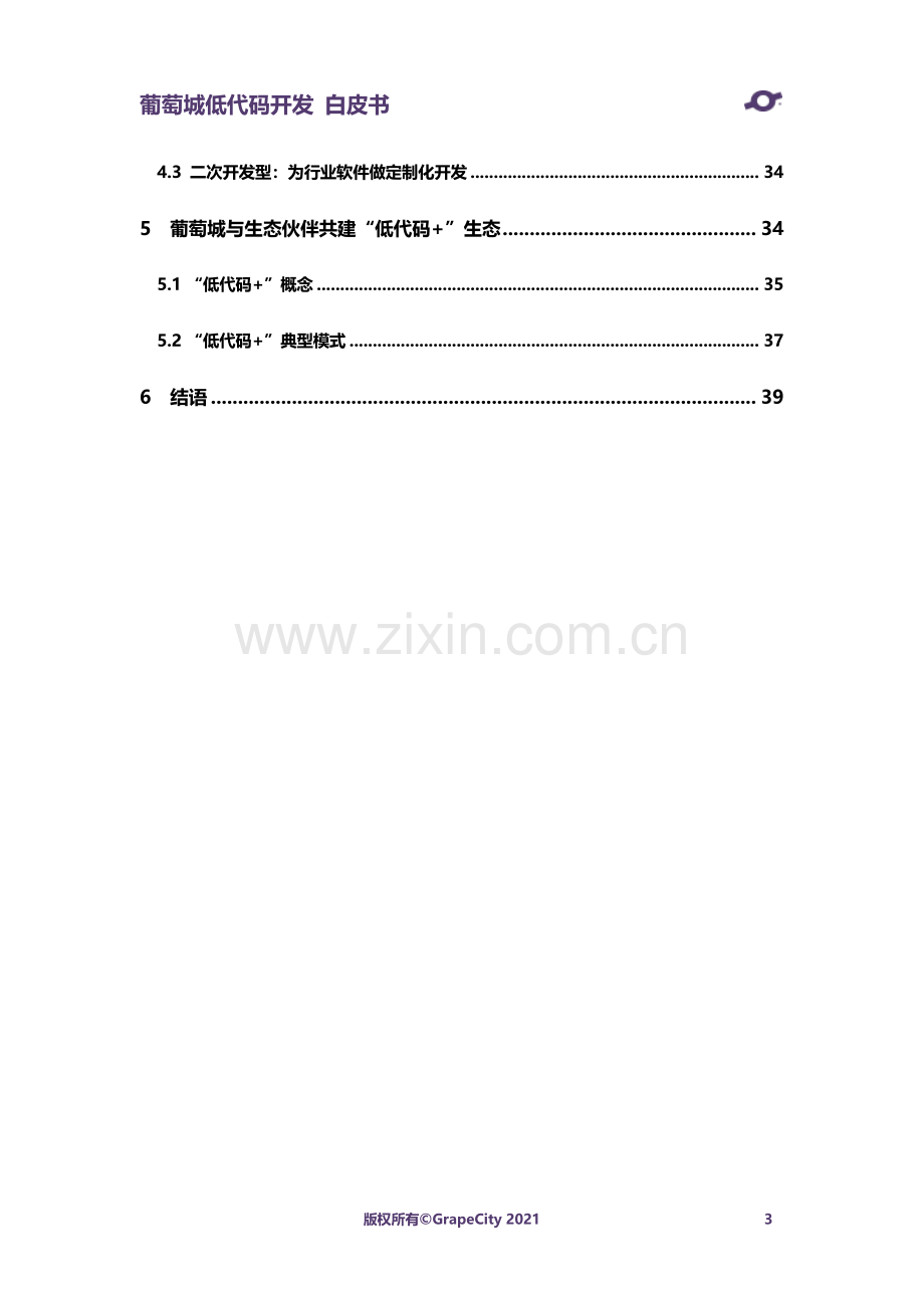 葡萄城：低代码开发白皮书.pdf_第3页