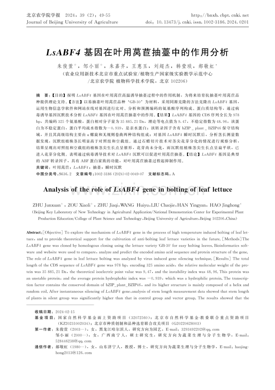 LsABF4基因在叶用莴苣抽薹中的作用分析.pdf_第1页