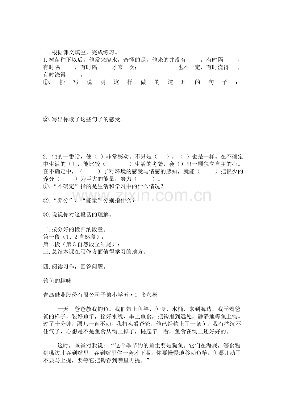 六年级语文桃花心木练习题8.doc_第1页