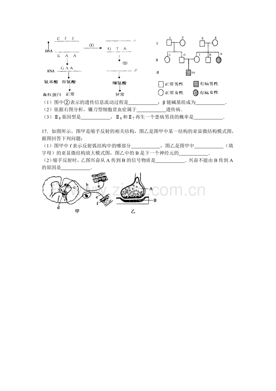 宁省实验中学2015-2016学年高二生物上册期末测试题.doc_第3页