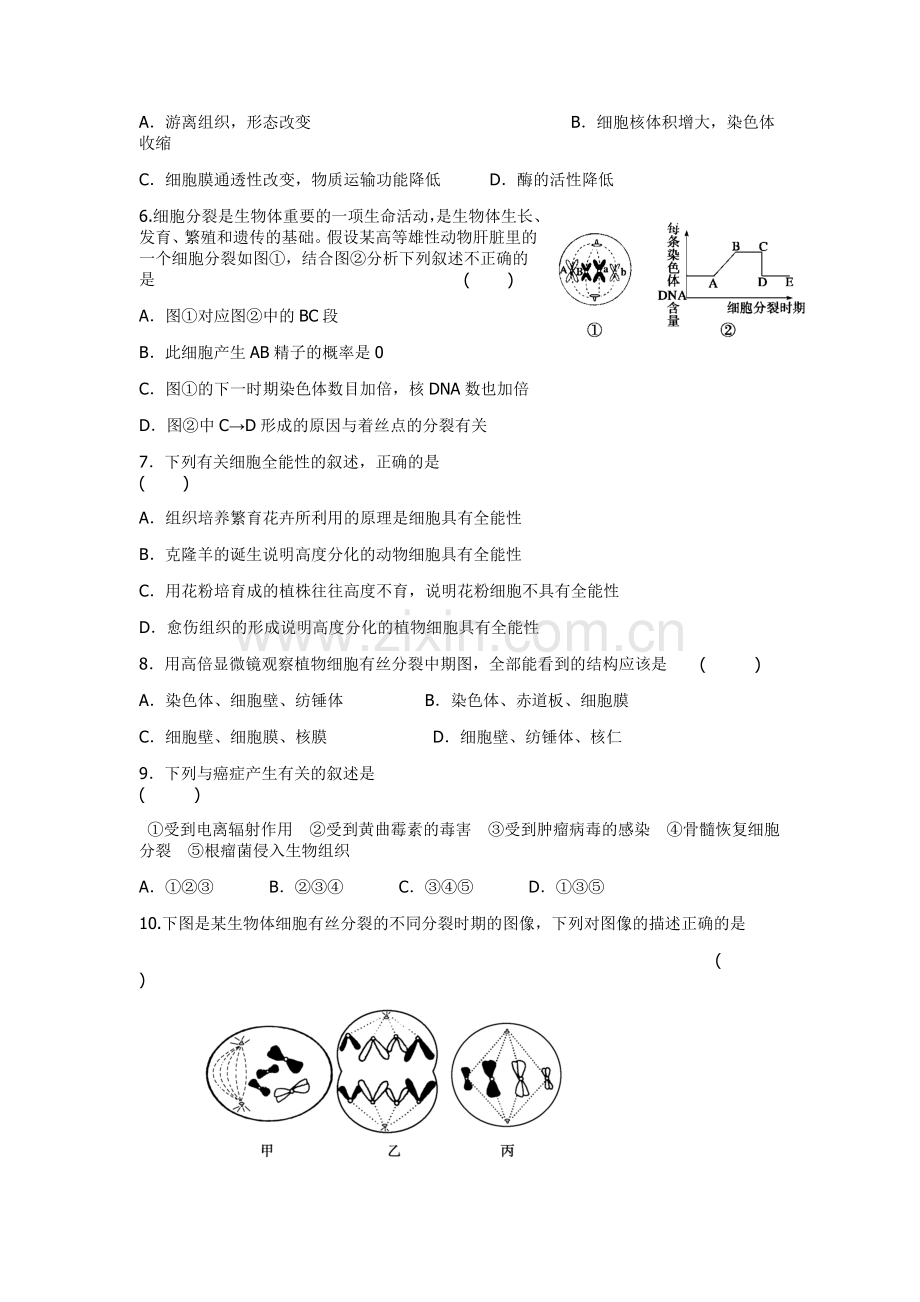 高一生物下册期中考试试卷3.doc_第2页