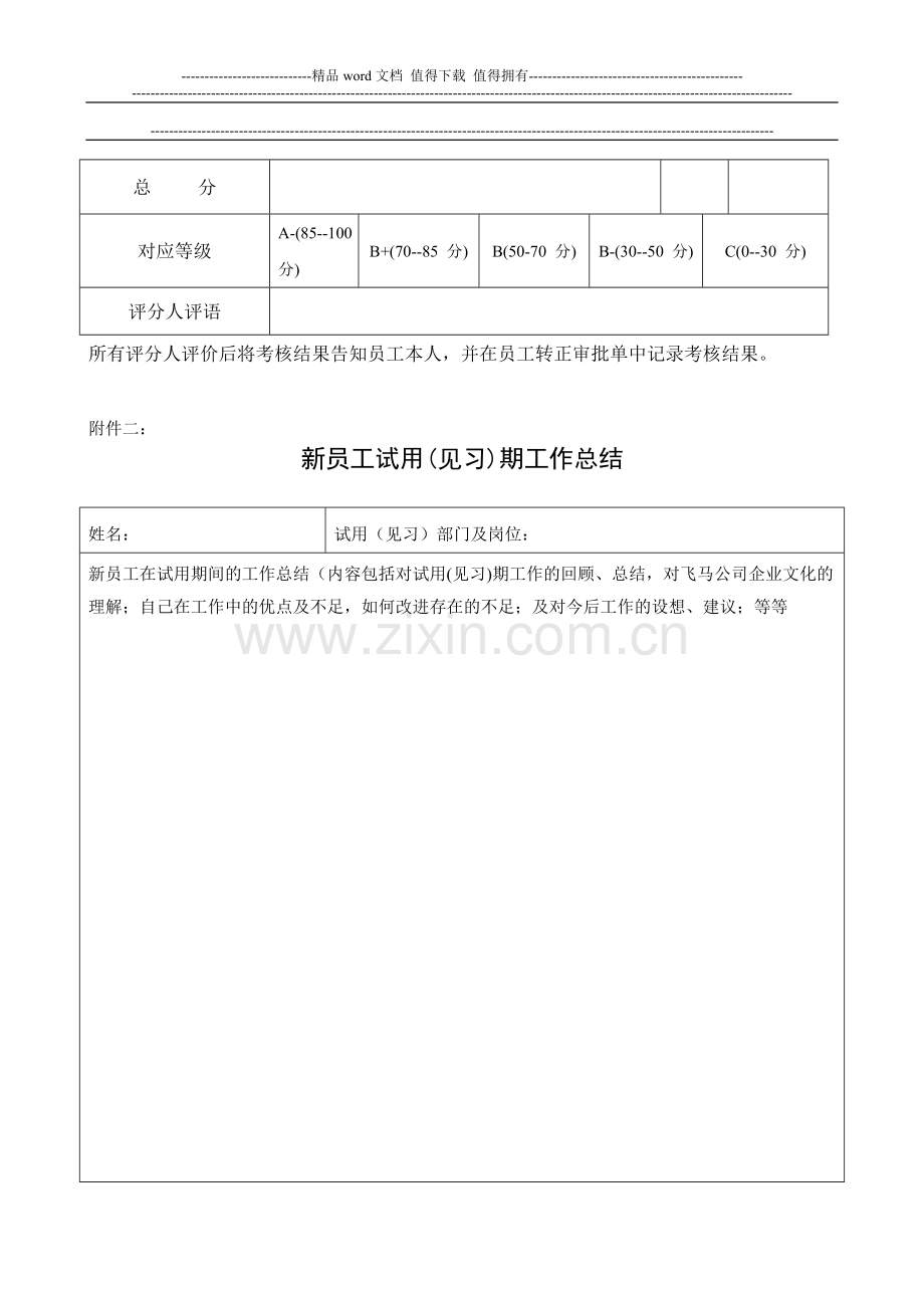 新员工试用考核表..doc_第2页