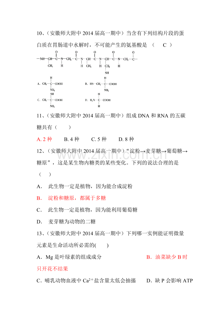 高一生物组成细胞的分子单元练习题5.doc_第3页