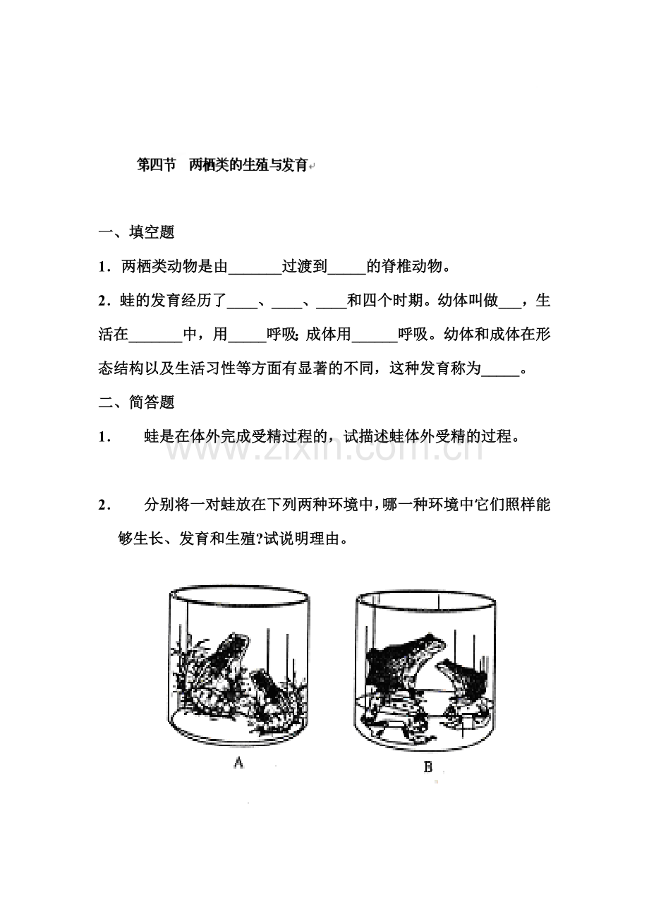 两栖类动物的生殖与发育练习.doc_第1页