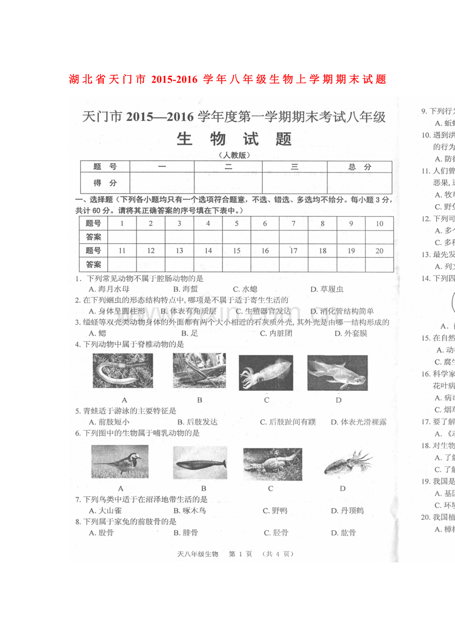 湖北省天门市2015-2016学年八年级生物上册期末试卷.doc_第1页