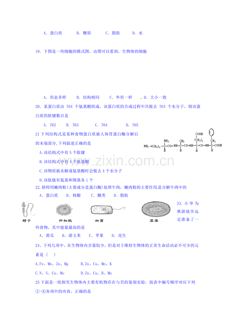 广东省阳东2015-2016学年高一生物上册期中考试题.doc_第3页