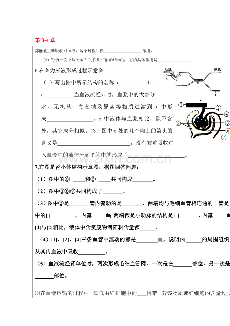 2015-2016学年七年级生物下册单元检测试题17.doc_第1页