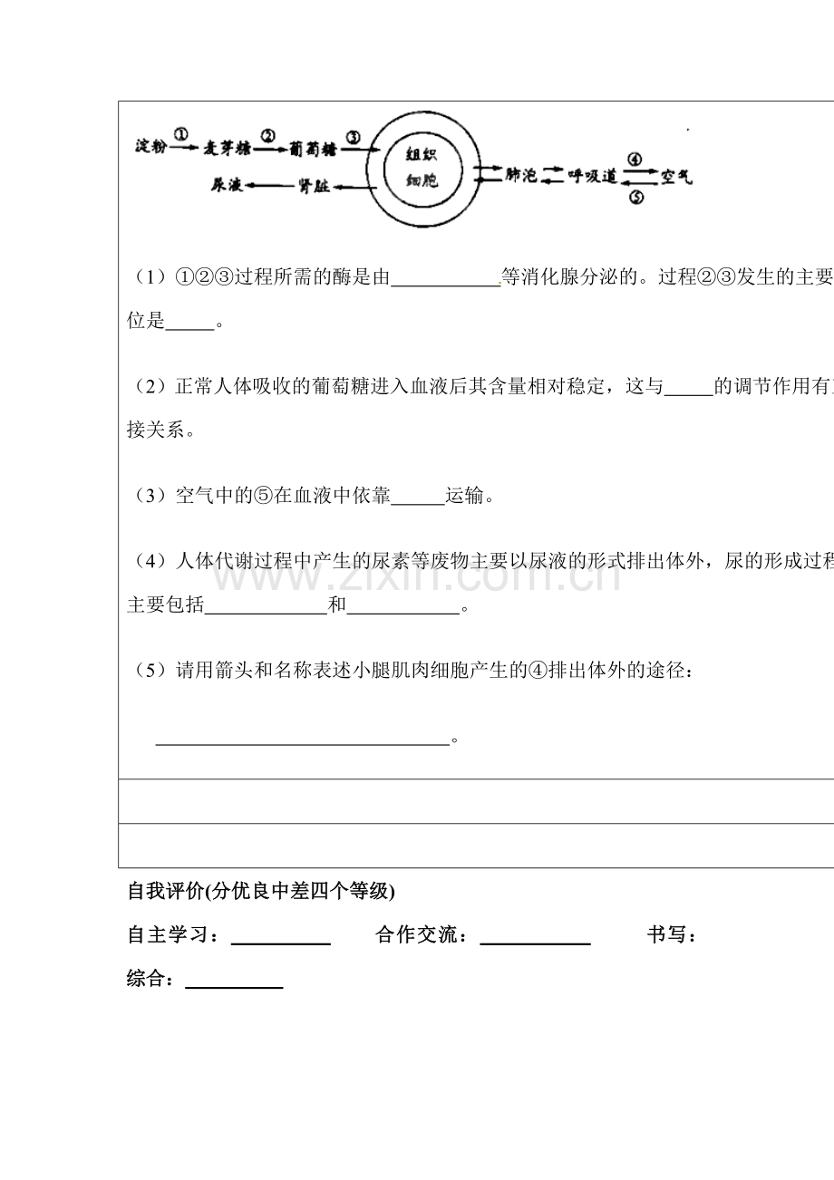 2015-2016学年七年级生物下册单元检测试题17.doc_第3页