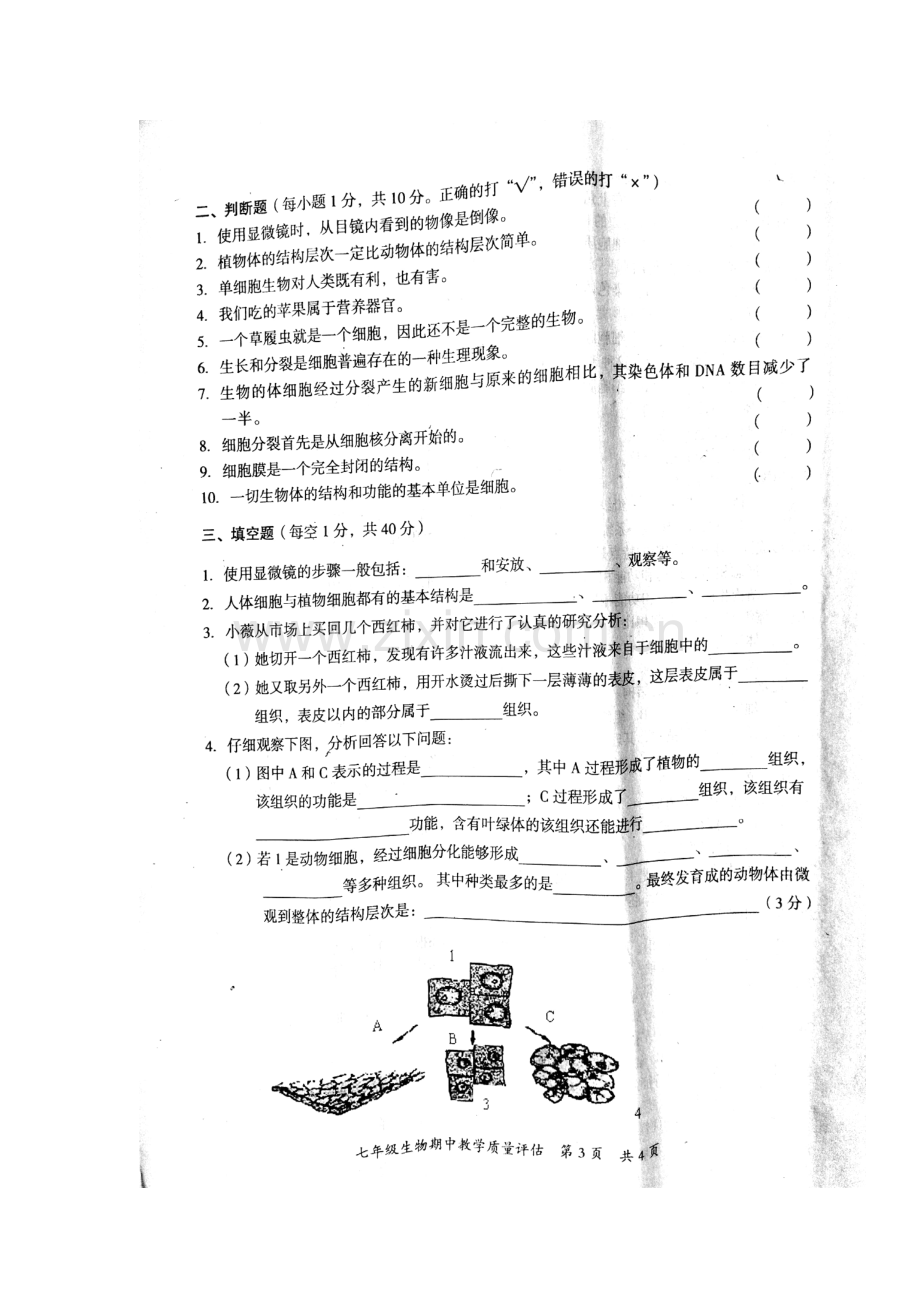 2017-2018学年七年级生物上学期期中检测试卷34.doc_第3页