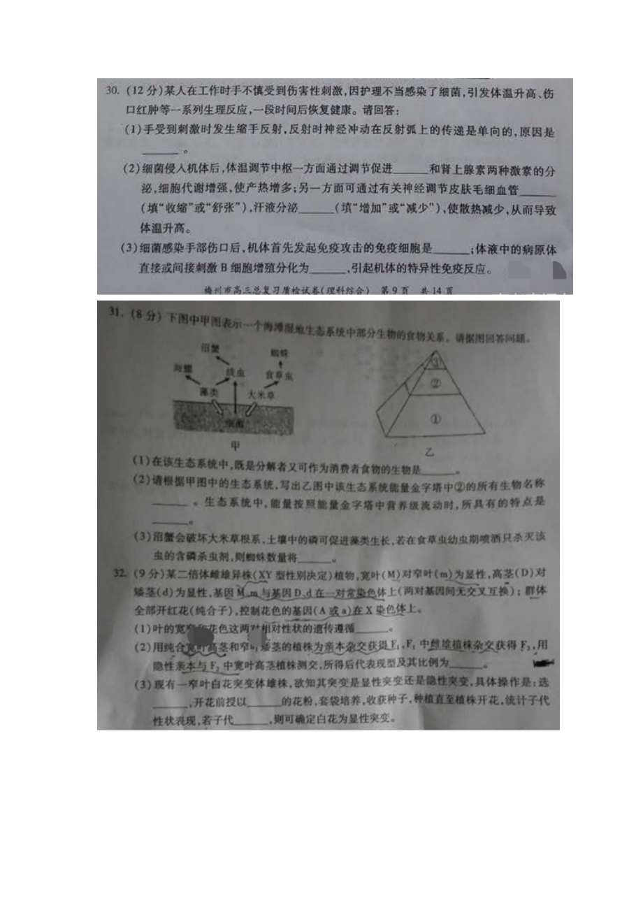 广东省梅州市2016届高三生物下册2月总复习质检试题.doc_第3页