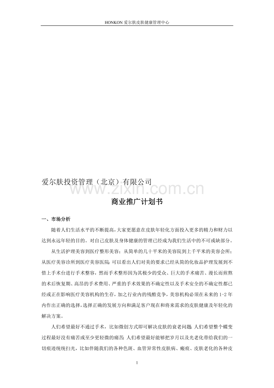 皮肤问题全套解决方案商业推广计划.doc_第1页