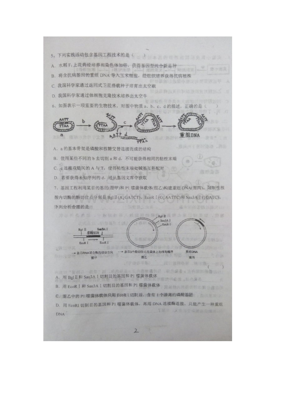 河南省息县2015-2016学年高二生物下册第二次阶段性测试题.doc_第2页