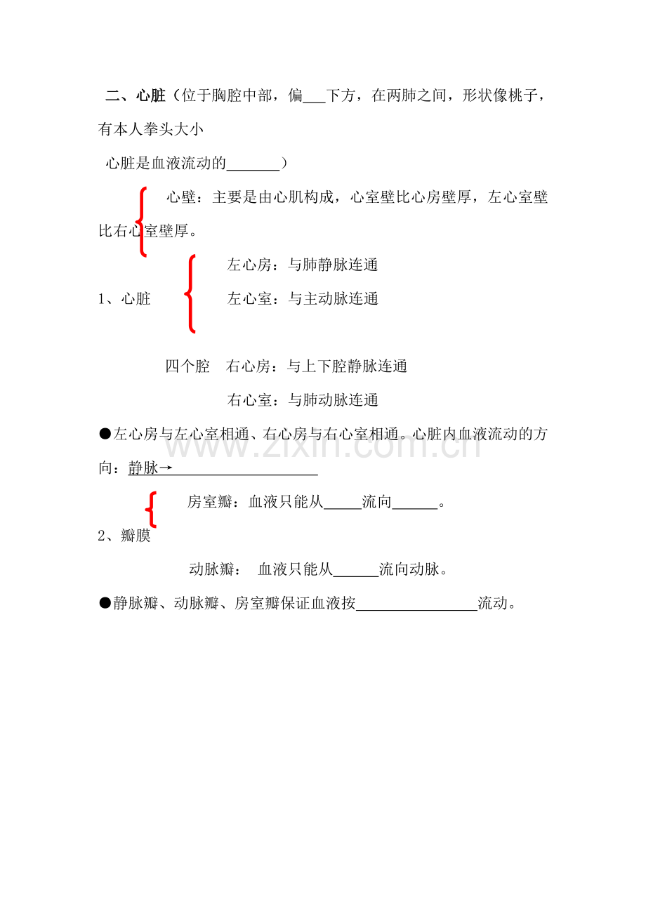 九年级科学体内物质的运输练习题2.doc_第3页