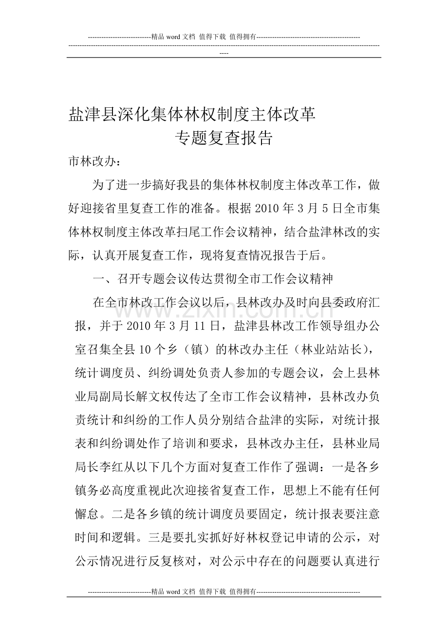 盐津集体林权制度主体改革复查报告.doc_第1页