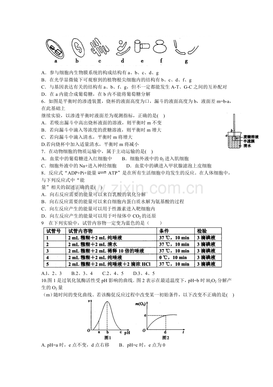 山东省曲阜市2016届高三生物上册期中试题.doc_第2页