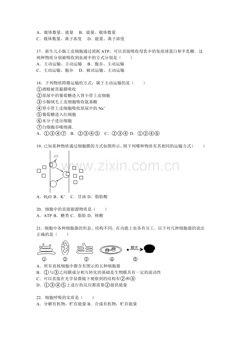 湖北省襄阳市2015-2016学年高一生物上册期末试题.doc_第3页