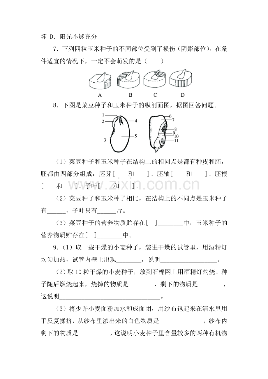 七年级生物上册课时课后训练题1.doc_第2页