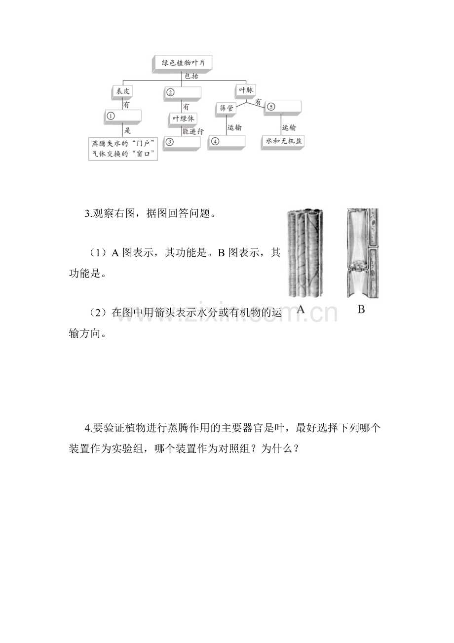 七年级生物上学期课时综合测评试题12.doc_第2页