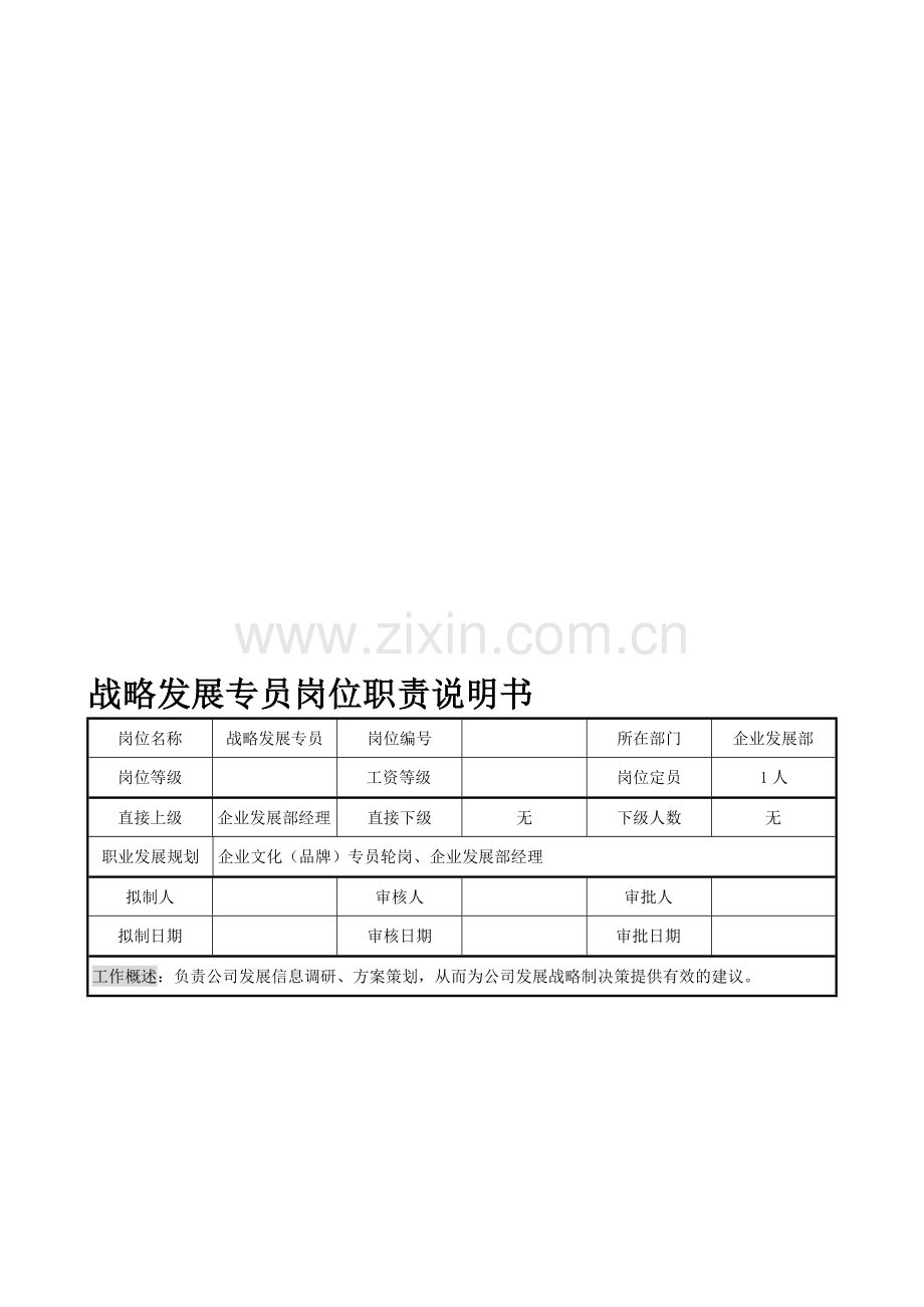 战略发展专员岗位职责说明书.doc_第1页