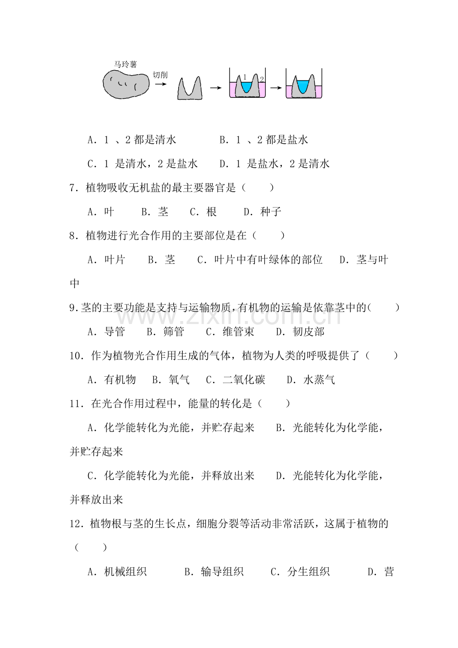 八年级科学植物的新陈代谢单元测试.doc_第2页