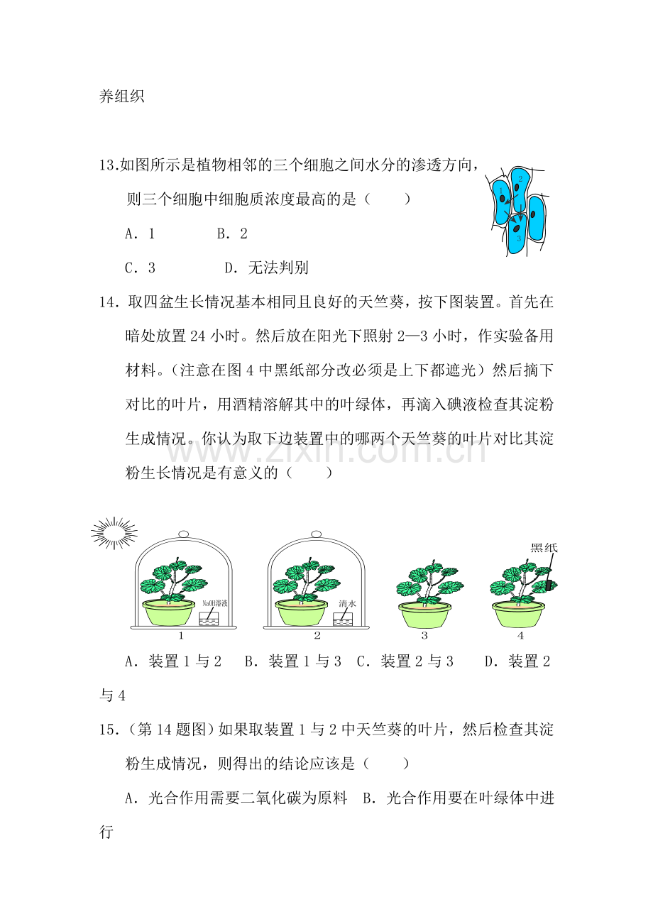 八年级科学植物的新陈代谢单元测试.doc_第3页