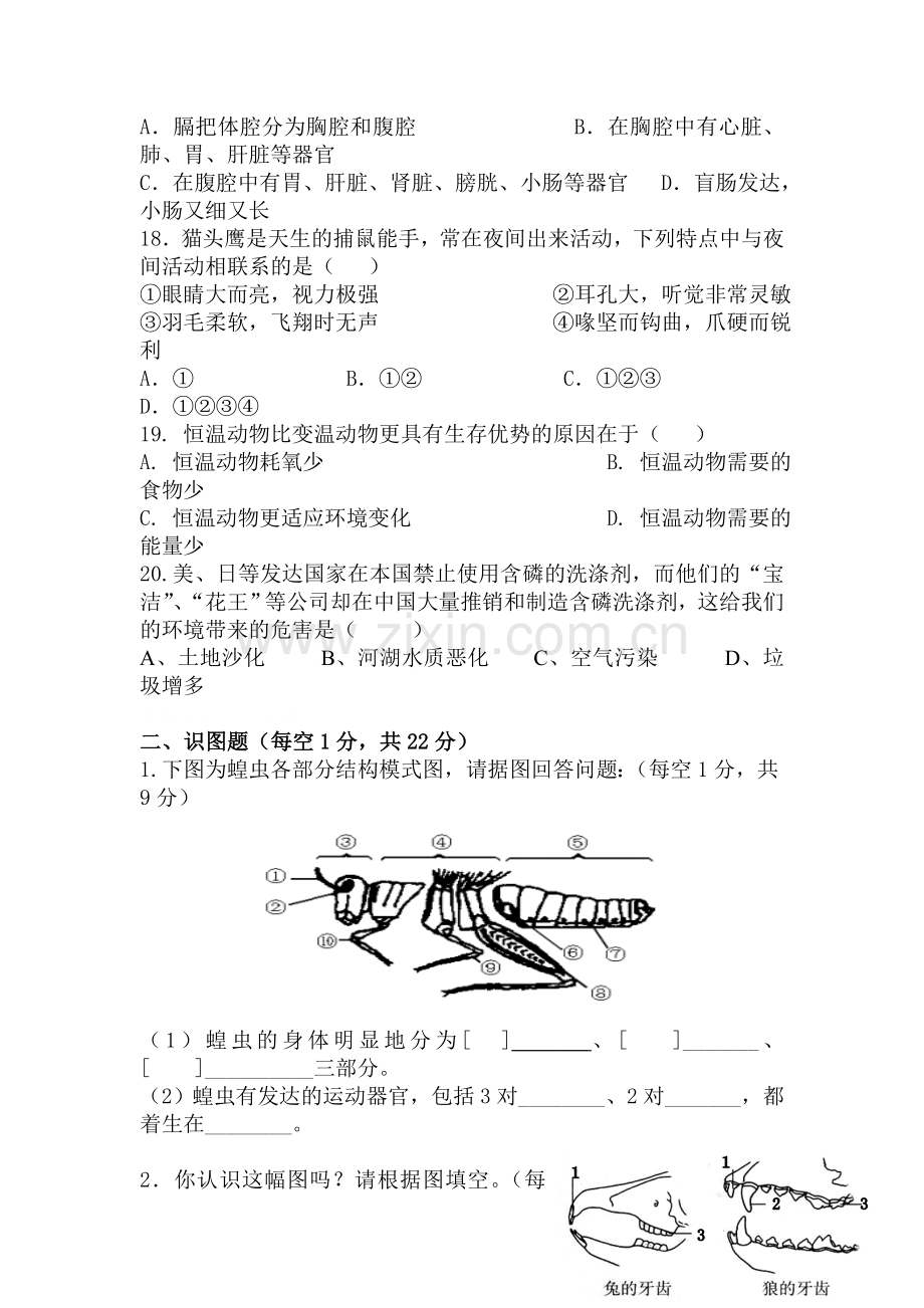 各种环境中的动物复习题.doc_第3页