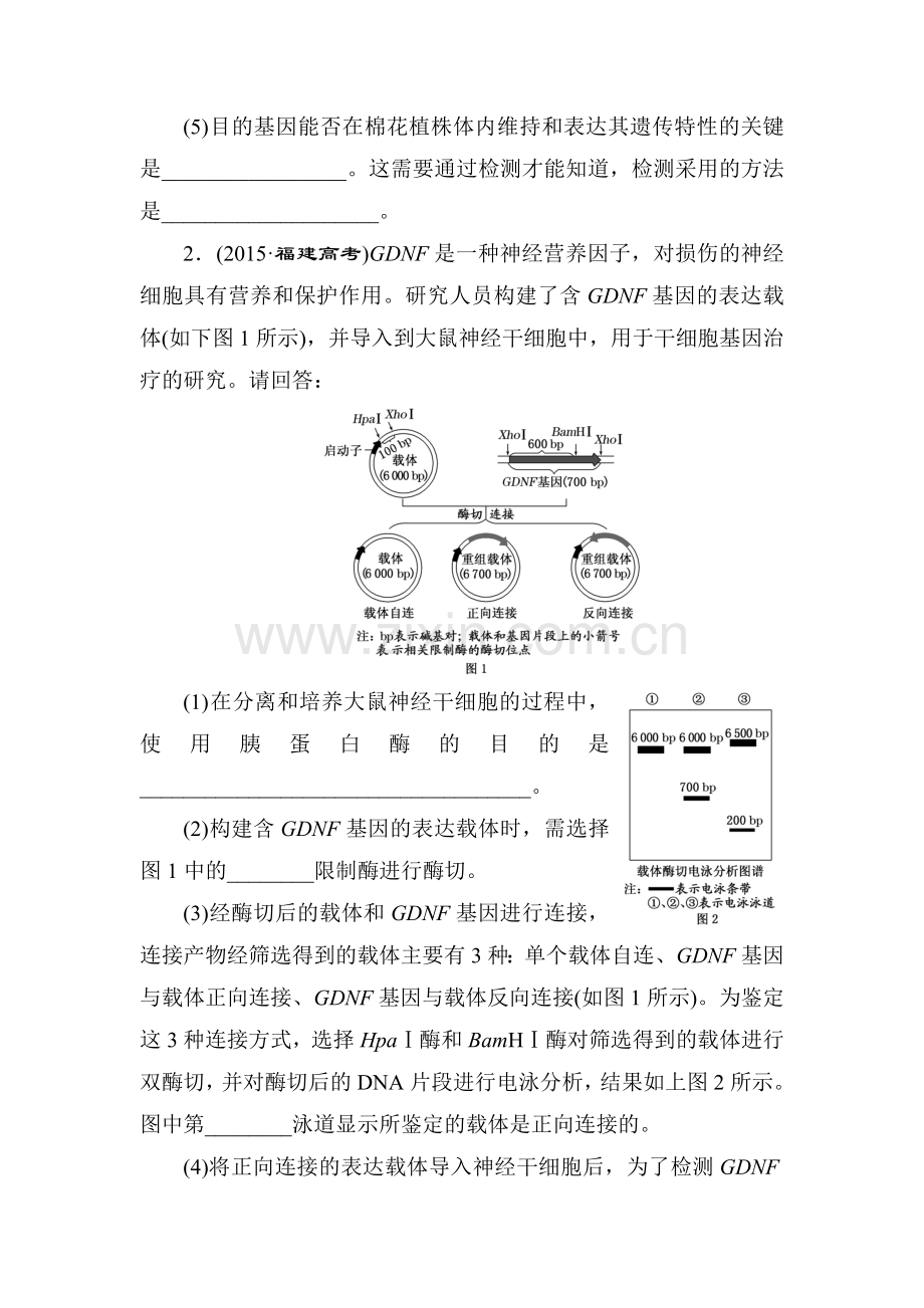 2016届高三生物第二轮复习课前诊断卷10.doc_第2页