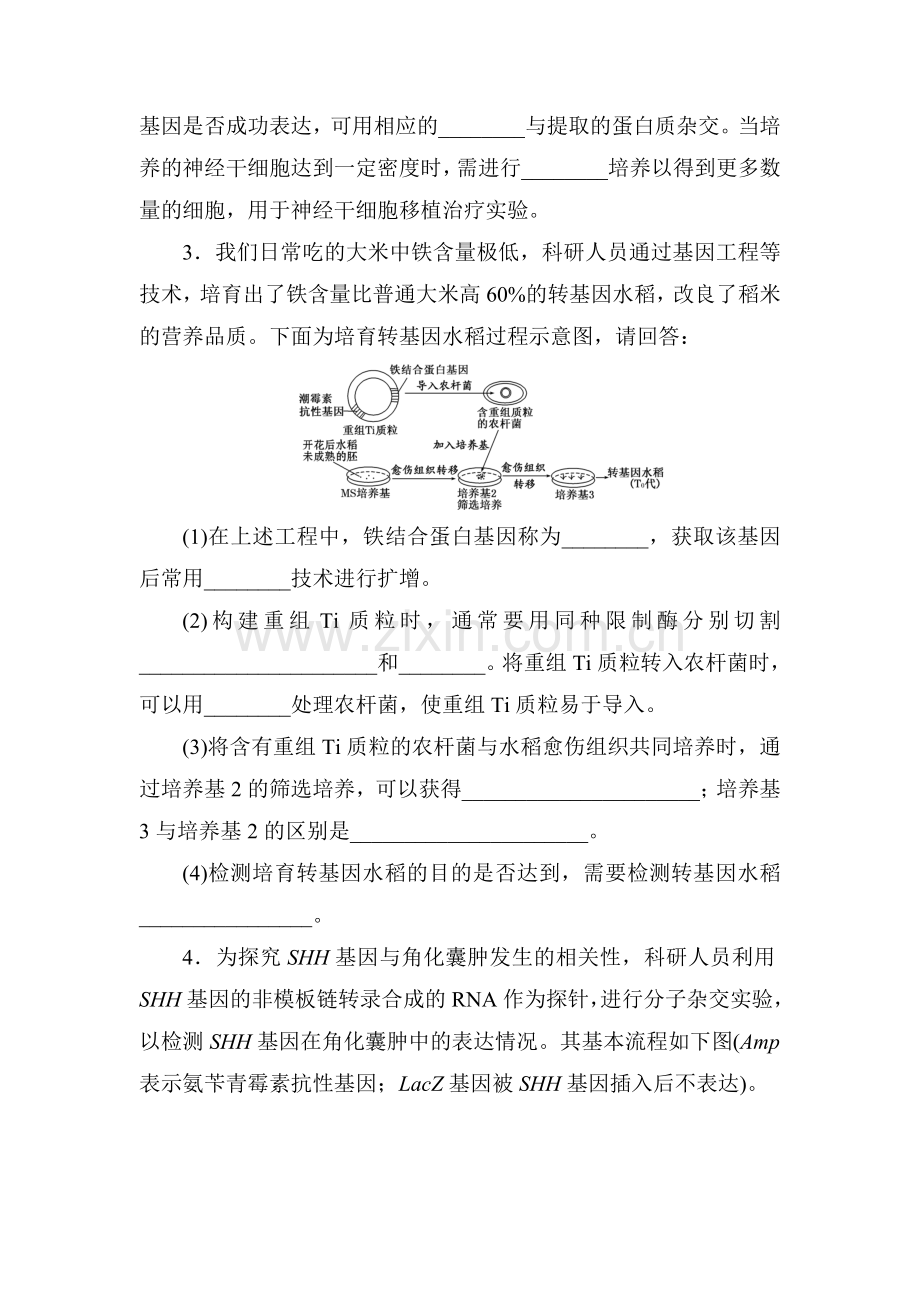 2016届高三生物第二轮复习课前诊断卷10.doc_第3页