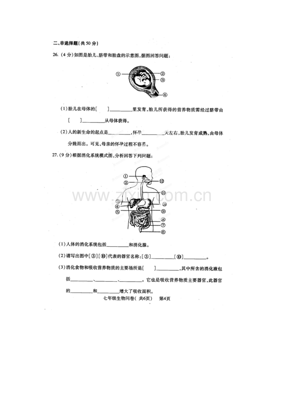 2015-2016学年七年级生物上册期中试卷12.doc_第3页